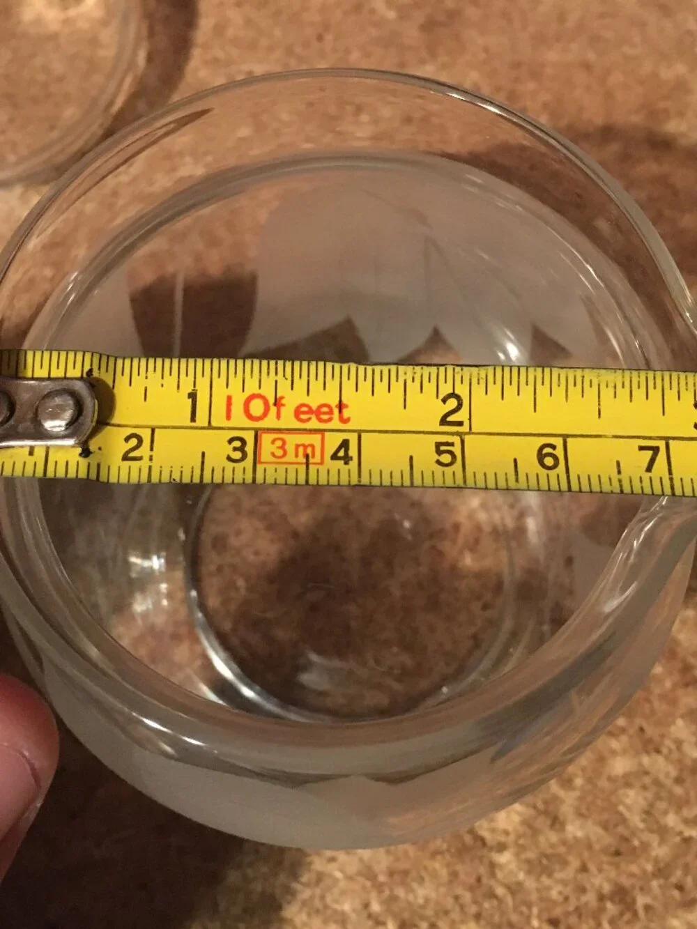 GLASS CONDIMENT JAR WITH LID FROSTED LEAVES